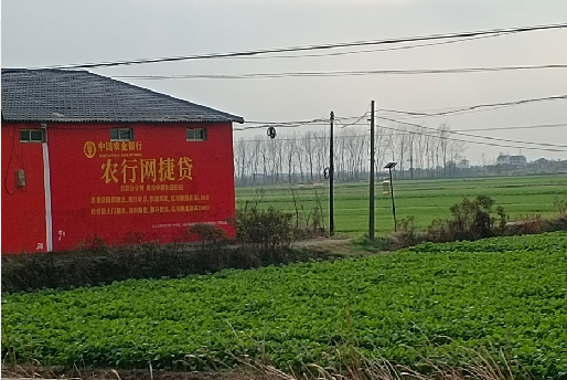 巴马如何防止墙体广告褪色呢？