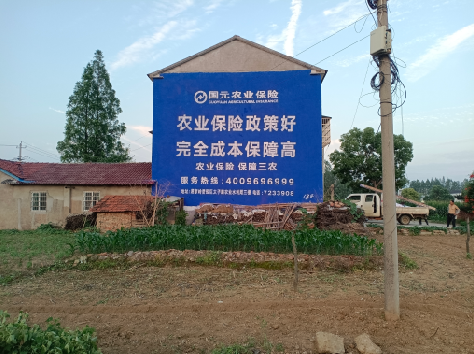 巴马墙体广告为何受追捧？